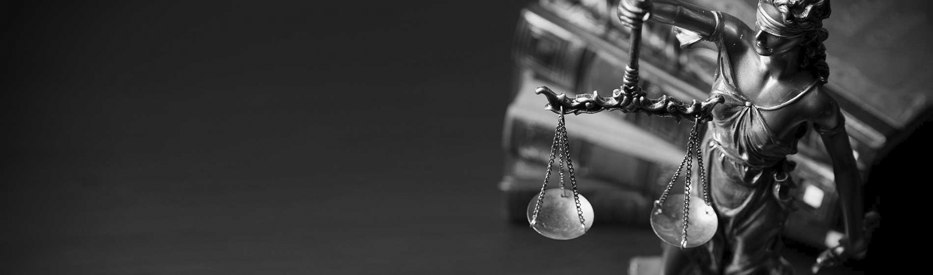 Consultation avocat