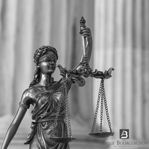 Prix avocat